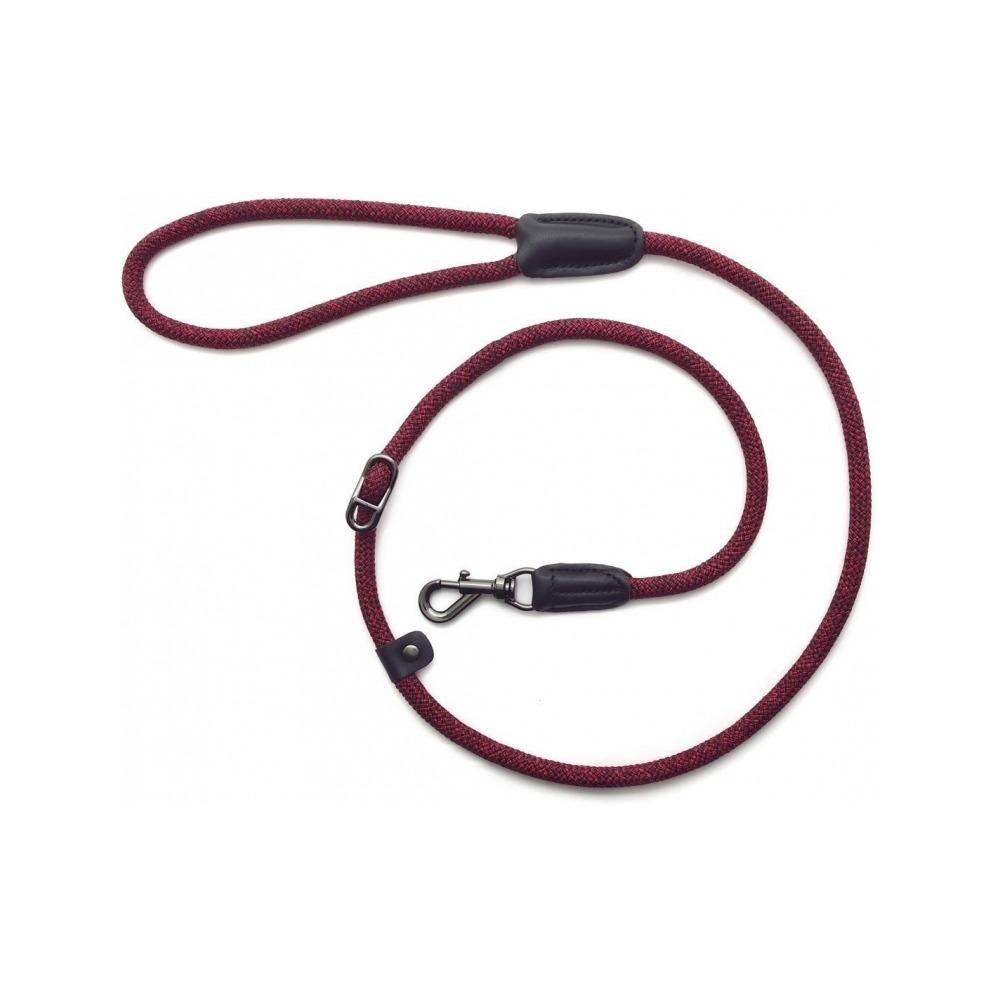 Metro Adjustable Dog Collar & Slip Leash Set for Small Medium Large Dogs - Comfortable Nylon Pet Training Lead with Reflective Stitching - Perfect for Walking, Running, and Outdoor Adventures