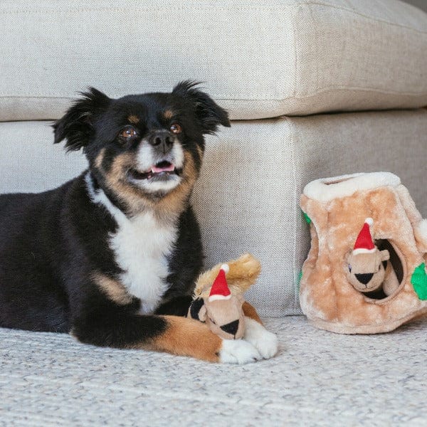 Outward Hound Hide A Squirrel Plush Dog Toy - Interactive Puzzle Game for Dogs with 3 Squeaky Squirrels - Holiday Gift for Small & Medium Breed Puppies - Perfect for Indoor Playtime & Mental Stimulation