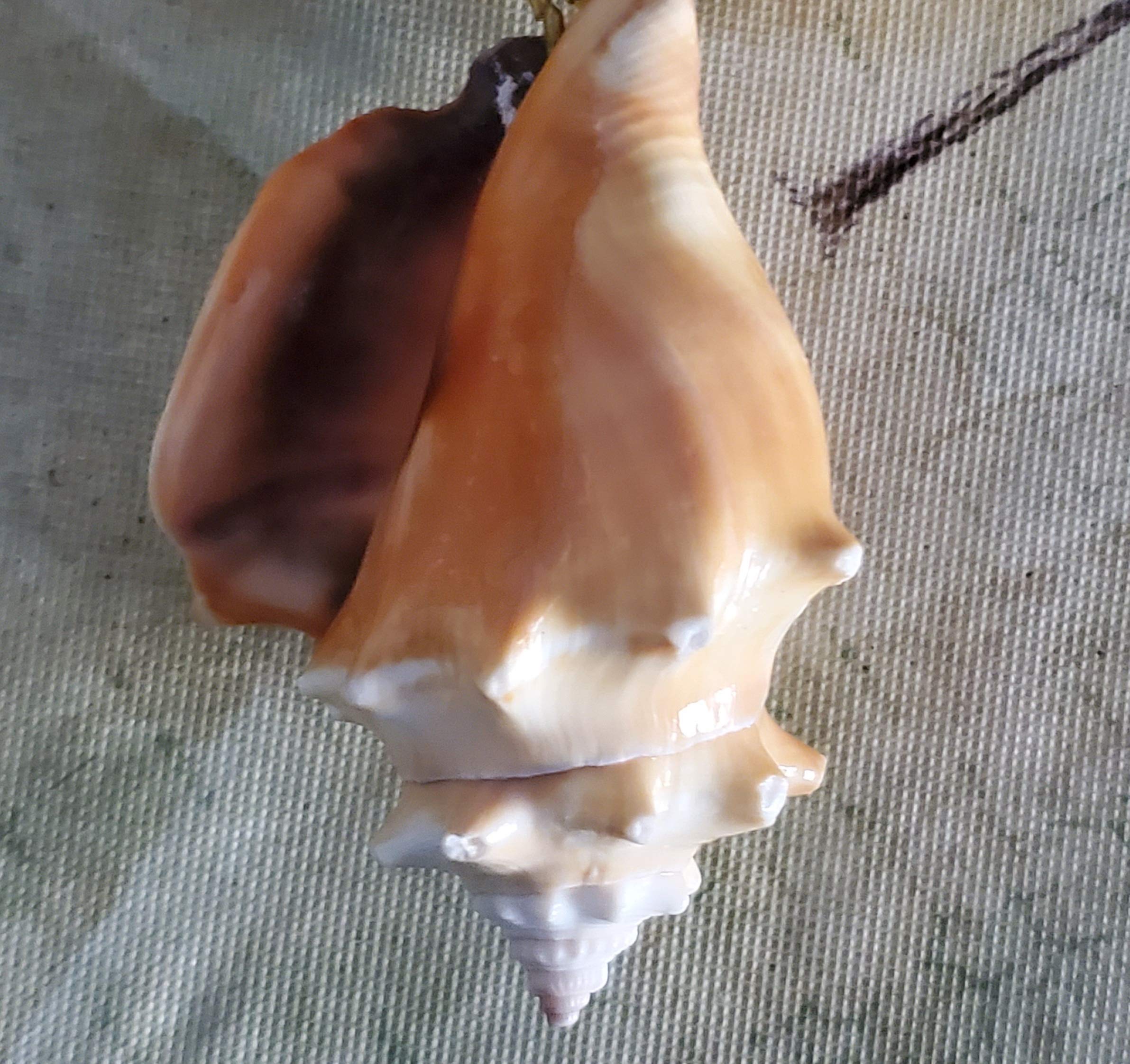 Natural Conch Seashell Gemstone Jade Necklace & Earrings Set – Unique Handmade Jewelry for Beach Weddings, Boho Fashion & Gift Giving