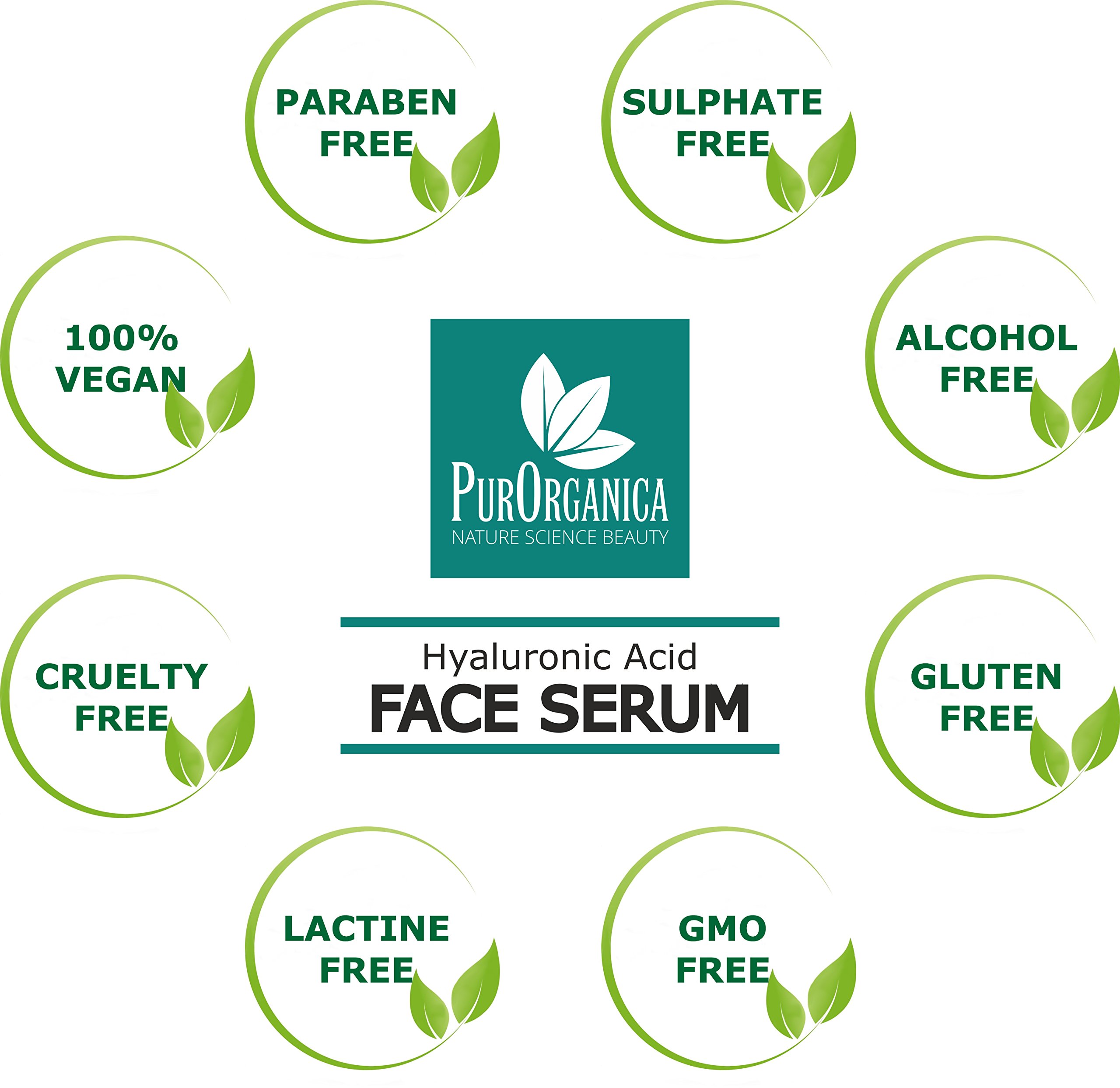PurOrganica Hyaluronic Acid Face Serum - 60ml Anti-Aging & Anti-Wrinkle Serum for Plumping, Hydrating & Brightening Skin - Organic Formula Reduces Fine Lines & Wrinkles - Money Back Guarantee - Perfect for Daily Skincare Routine & Nighttime Rejuvenation