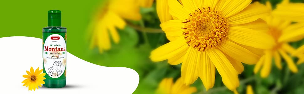 Sunny Arnica Montana Hair Growth Oil - Stimulates Scalp Circulation, Reduces Dandruff & Strengthens Hair Roots for Thicker Hair - Natural Treatment for Men & Women (200ml, Pack of 2) - Perfect for Daily Hair Care & Scalp Massage