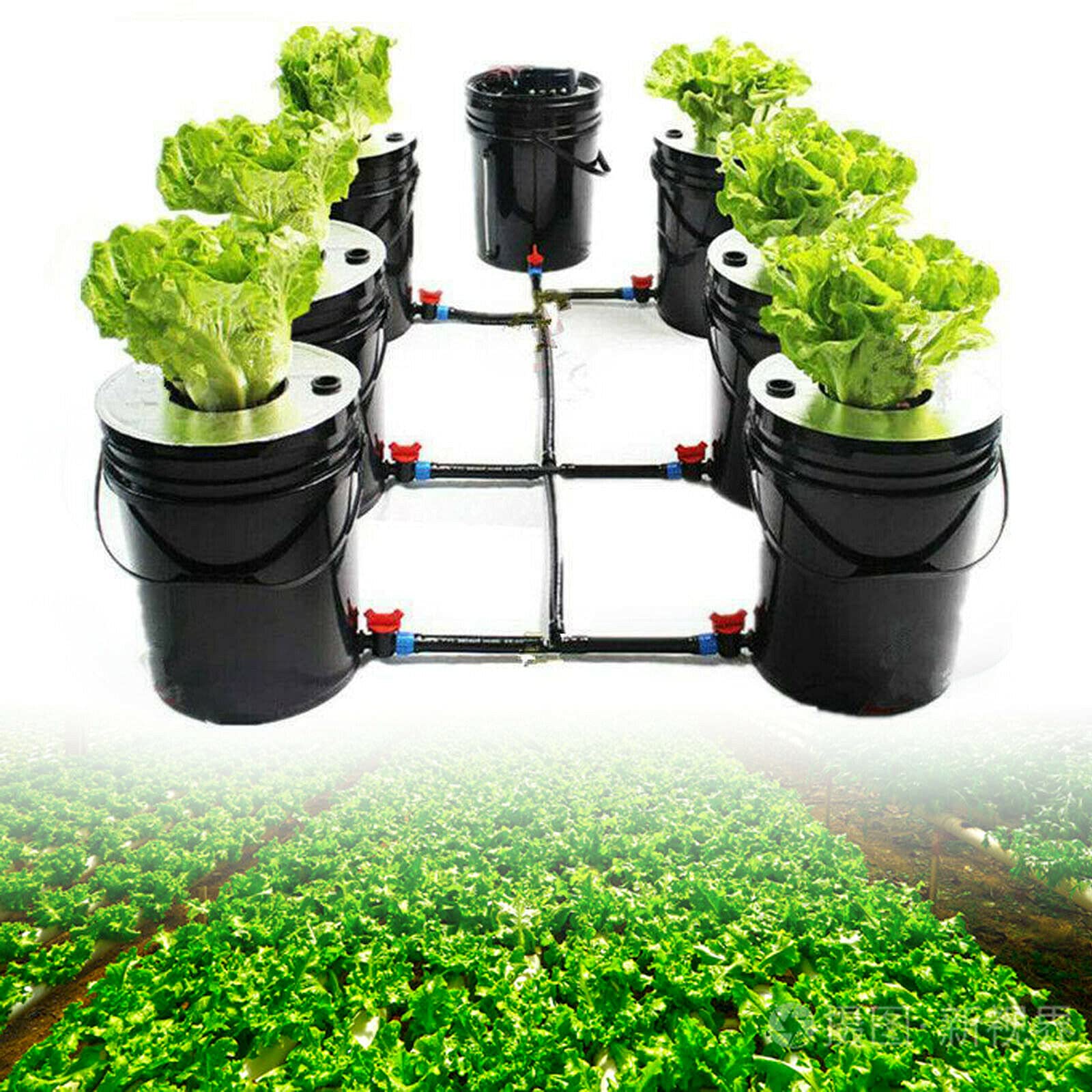 6 Pots Hydroponic Grow DWC System - 20L (5 Gallon) Deep Water Recirculating Culture Kit for Indoor Herb Garden, Leafy Greens & Flower Plants - Perfect for Home Gardening & Urban Farming