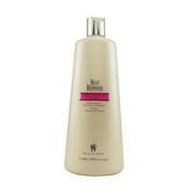 Graham Webb Heat Response Thermal Protection Shampoo - 33.8 oz for Men & Women - Sulfate-Free Hair Care for Styling, Blowouts & Heat Tools - Salon Quality Thermal Shield for Damaged Hair