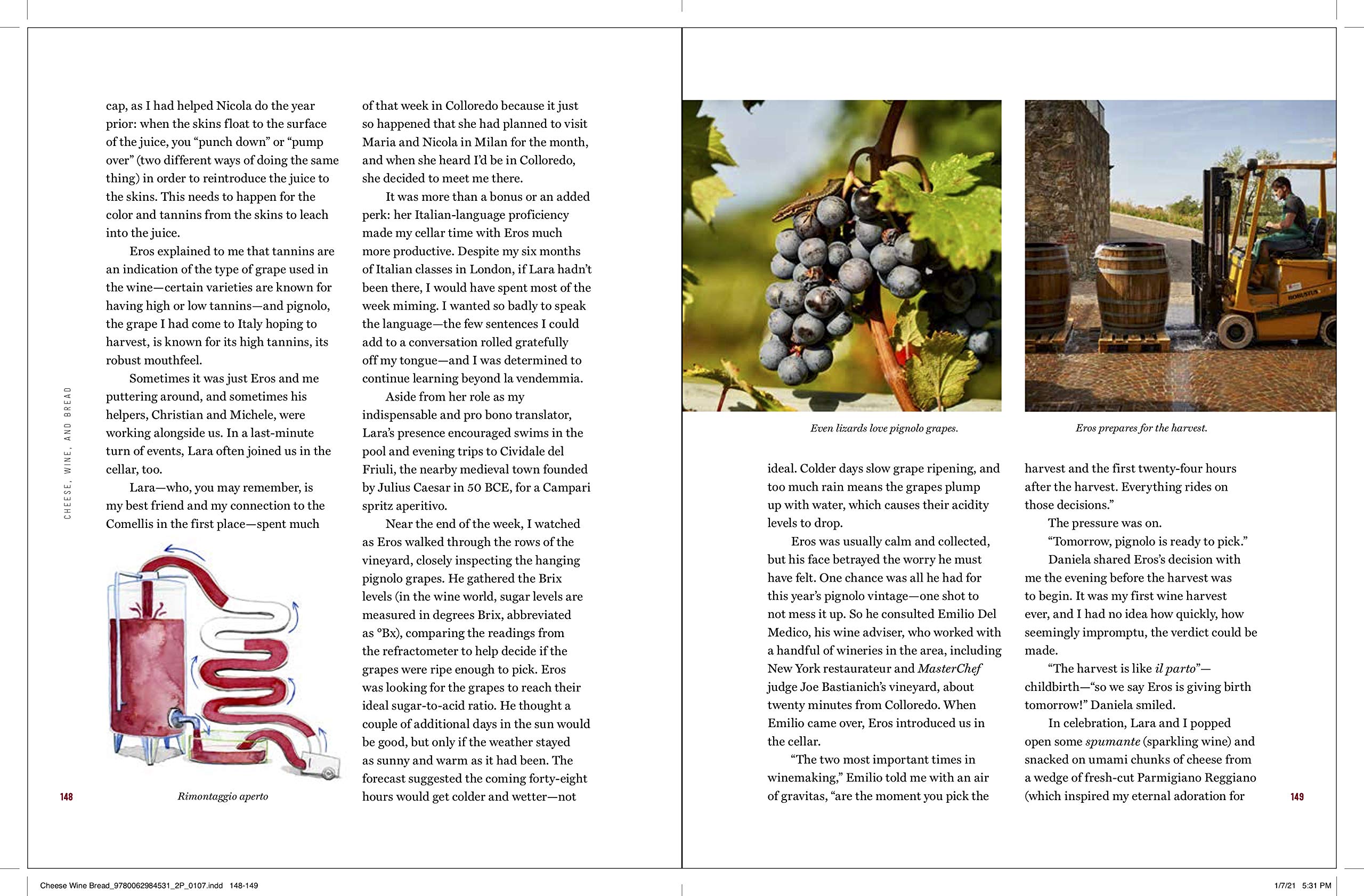 Artisan Cheese, Fine Wine & Fresh Bread: Explore the Magic of Fermentation from England, Italy & France – Perfect for Gourmet Gifts, Charcuterie Boards & European Culinary Adventures