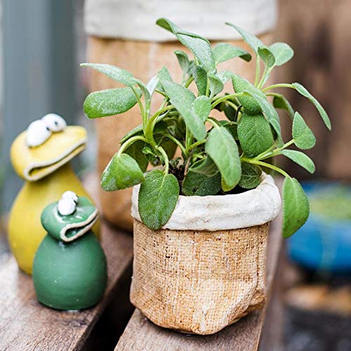 Rustic Reach Paper Bag Style Concrete Garden Pot - Decorative Planters for Indoor & Outdoor Plants, Succulents, Flowers - Perfect for Patio, Balcony, and Home Decor