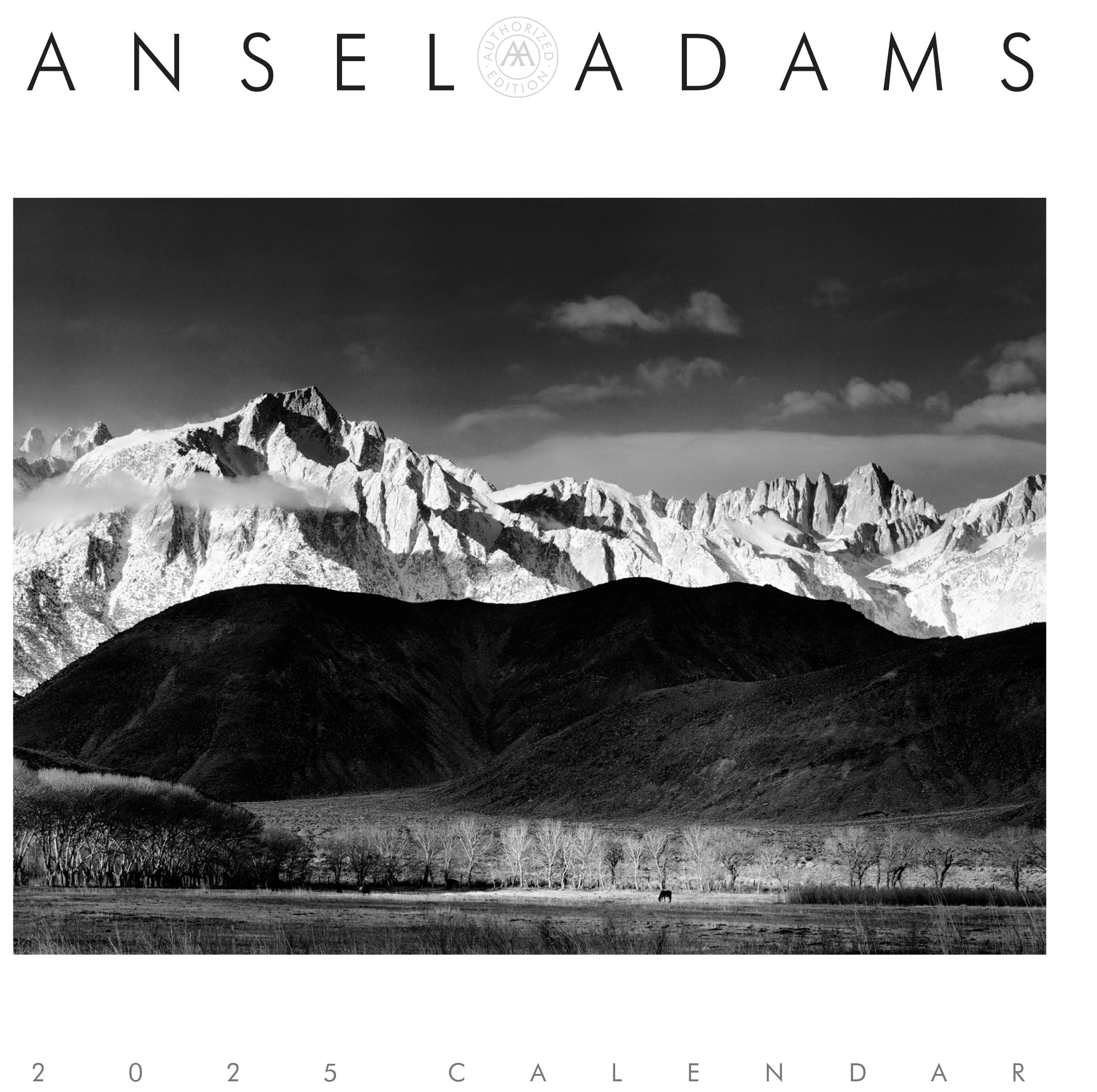 Ansel Adams 2025 Engagement Calendar - Official 12-Month Weekly Planner with Nature Photography | Perfect for Office, Home & Gift Giving