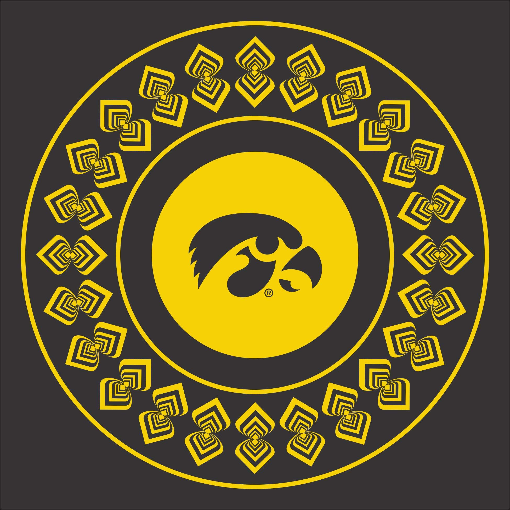 Official Iowa Hawkeyes 48-Piece Party Set - 16oz Plastic Cups, 9