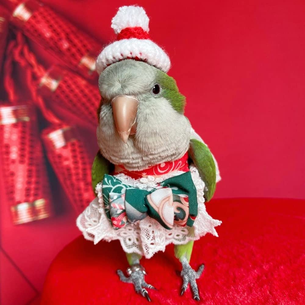 Green Eclectus Parrot Bird Costume - Soft Cloth Outfit for Small to Medium Parrots - Hand Wash Only - Perfect for Halloween, Parties & Photo Shoots