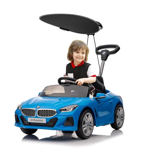 Blue With Canopy