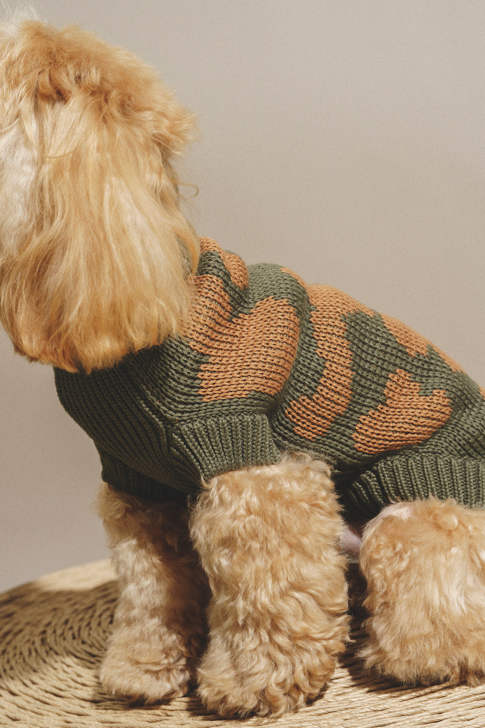 Dog Cardigan - Soft Pony Cotton Knit Sweater for Small Dogs - Cozy Winter Outfit for Indoor & Outdoor Use