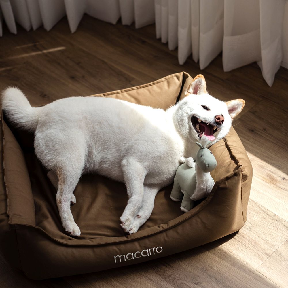 Premium Cotton Latex Pet Bed - Ultra Soft & Durable Dog & Cat Bed for Small to Large Breeds - Perfect for Indoor Use, Crate Training & Cozy Napping Spots
