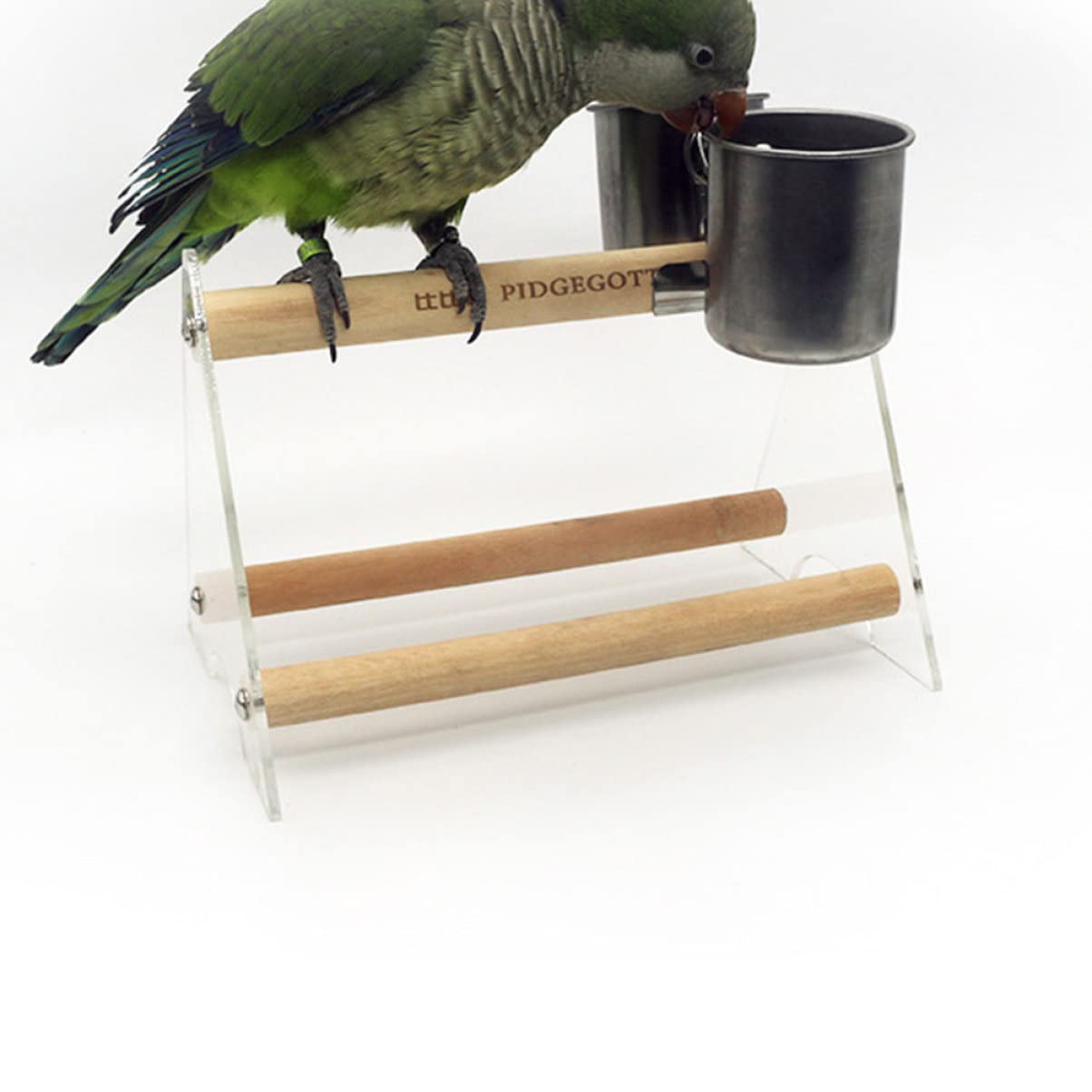 6pcs Stainless Steel Bird Feeding Bowls with Hanging Clamps - Durable Cage Mounted Dishes for Cockatiels, Parakeets & Budgies - Perfect for Small Pet Birds in Cages, Aviaries or Travel Carriers