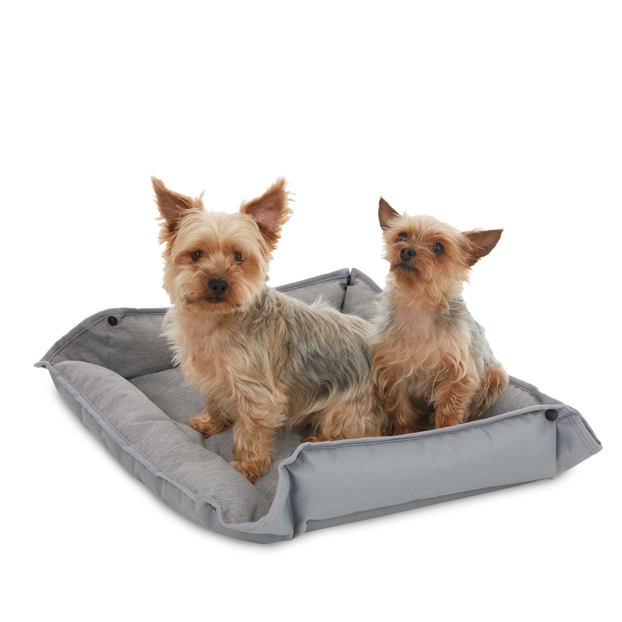 Premium 4-Way Pet Bed for Medium Dogs 24