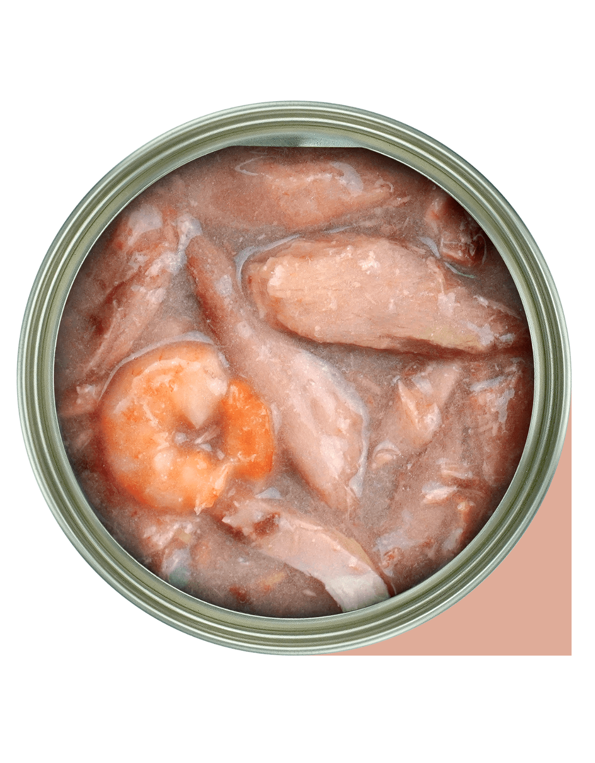 Fussie Cat Black Label Tuna with Prawn in Gravy Wet Cat Food 80g - Premium Grain-Free Canned Cat Food for Adult & Senior Cats - Perfect for Mealtime, Weight Management & Picky Eaters