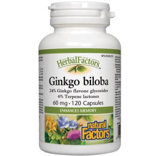 Natural Factors Herbal Factors Ginkgo Biloba 60mg 120 Capsules - Premium Brain Support Supplement for Memory, Focus & Circulation - Ideal for Students, Professionals & Seniors