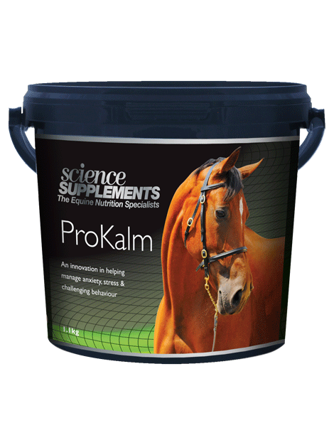ProKalm Dog Calming Supplement - Science-Backed Stress Relief for Anxious Pets - Perfect for Travel, Vet Visits & Thunderstorms
