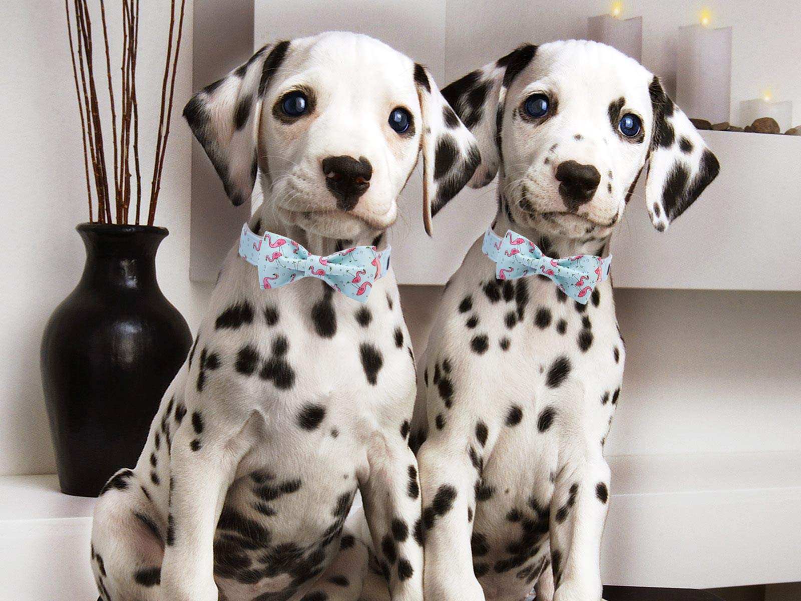 Adjustable Dog Collar with Stylish Bow Tie - Small, Medium & Large Sizes for Pets - Perfect for Weddings, Parties & Special Occasions