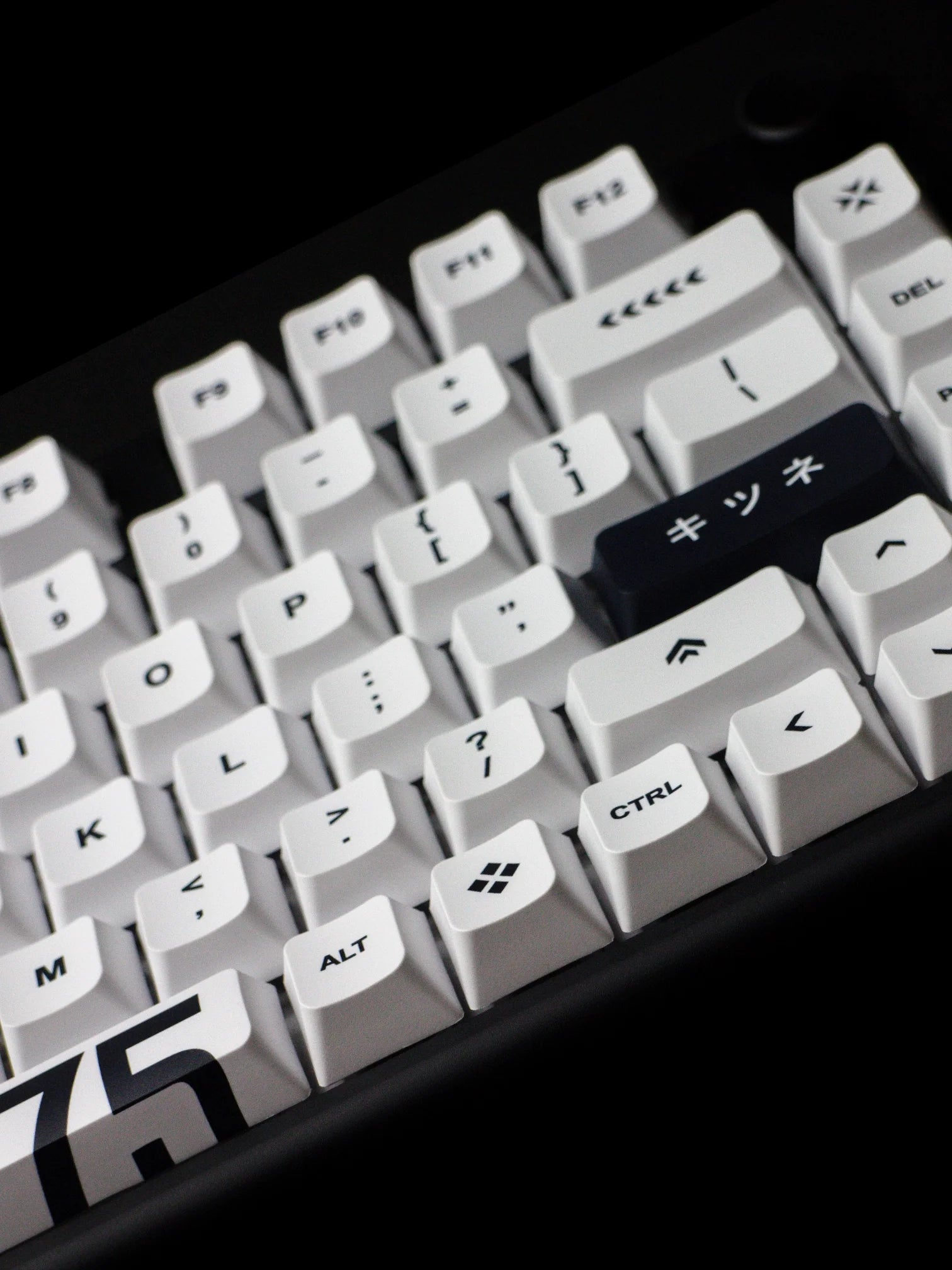 Arbiter Studio KITSUNE Polar 65 PRO Hall Effect Magnetic Gaming Keyboard - 65% Compact Mechanical Keyboard with Hot-Swappable Switches for PC, Mac, Typing & Esports Gaming