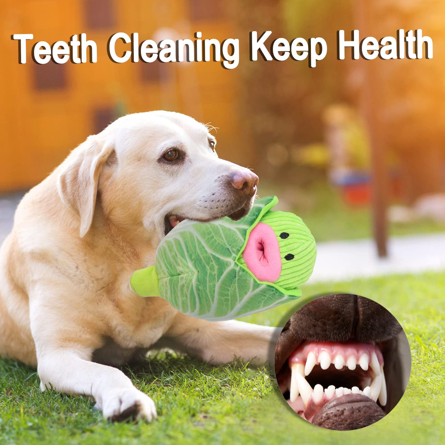 Interactive Dog Toys 2-in-1 Squeaky Chew Toys - Soft & Durable Fabric for Small & Medium Dogs - No-Stuffing Vegetable Design (Cabbage) - Perfect for Indoor Play, Training & Anxiety Relief