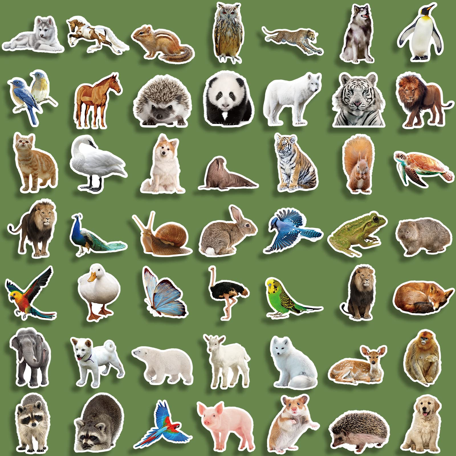 100Pcs Waterproof Zoo Animal Stickers for Kids - Cute Vinyl Animal Stickers Pack for Teens & Adults - Perfect for Scrapbooking, Laptop Decoration & School Projects