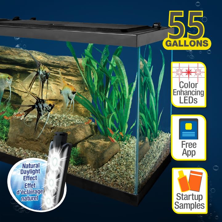 Tetra Complete LED Aquarium 55 Gallons Kit with LED Lighting, Filter, Heater & Accessories - Perfect for Home, Office & Fish Tank Enthusiasts