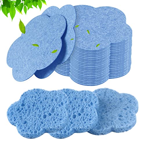 50 Count - Blue