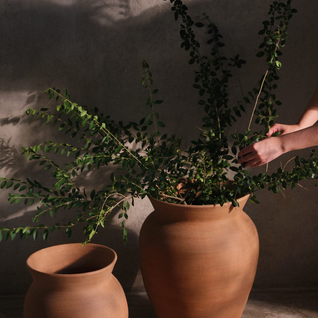 Lafayette Planter - Modern Decorative Flower Pot for Indoor & Outdoor Plants | Perfect for Home, Garden, Patio, and Office Decor