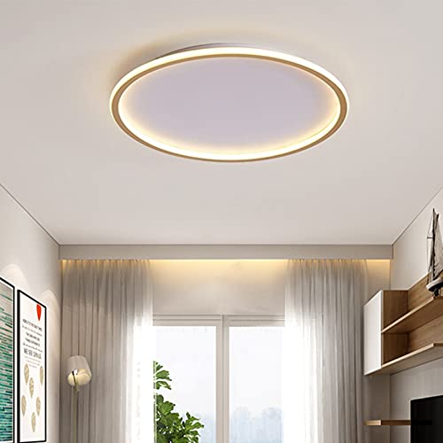 Minimalist Gold LED Flush Mount Ceiling Light - 16