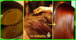 **100% Pure Henna Powder for Hair - Natural Herbal Mehandi Hair Dye (3 x 100g) | Chemical-Free Gray Coverage & Conditioning | Perfect for DIY Hair Coloring, Bridal Looks & Ayurvedic Treatments**
