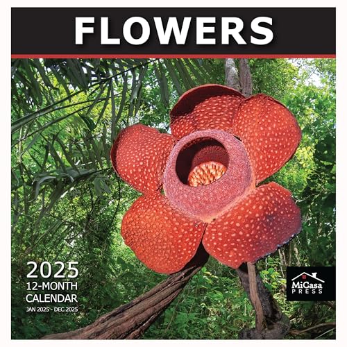 04 - Flowers