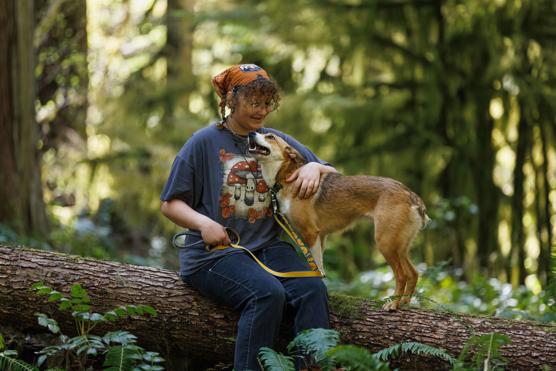 Ruffwear Crag Collar® Canyon Oxbow Reflective Dog Collar - Durable & Adjustable for Hiking, Camping & Outdoor Adventures