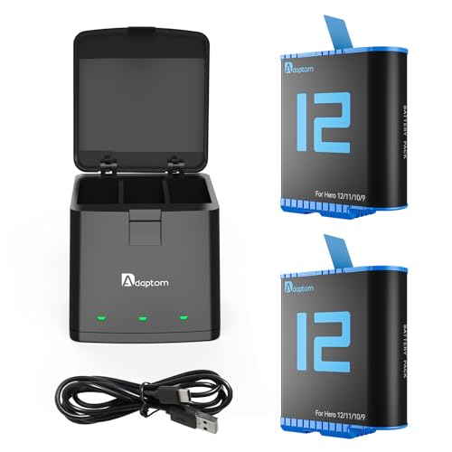 1 X Charger+2 X Batteries
