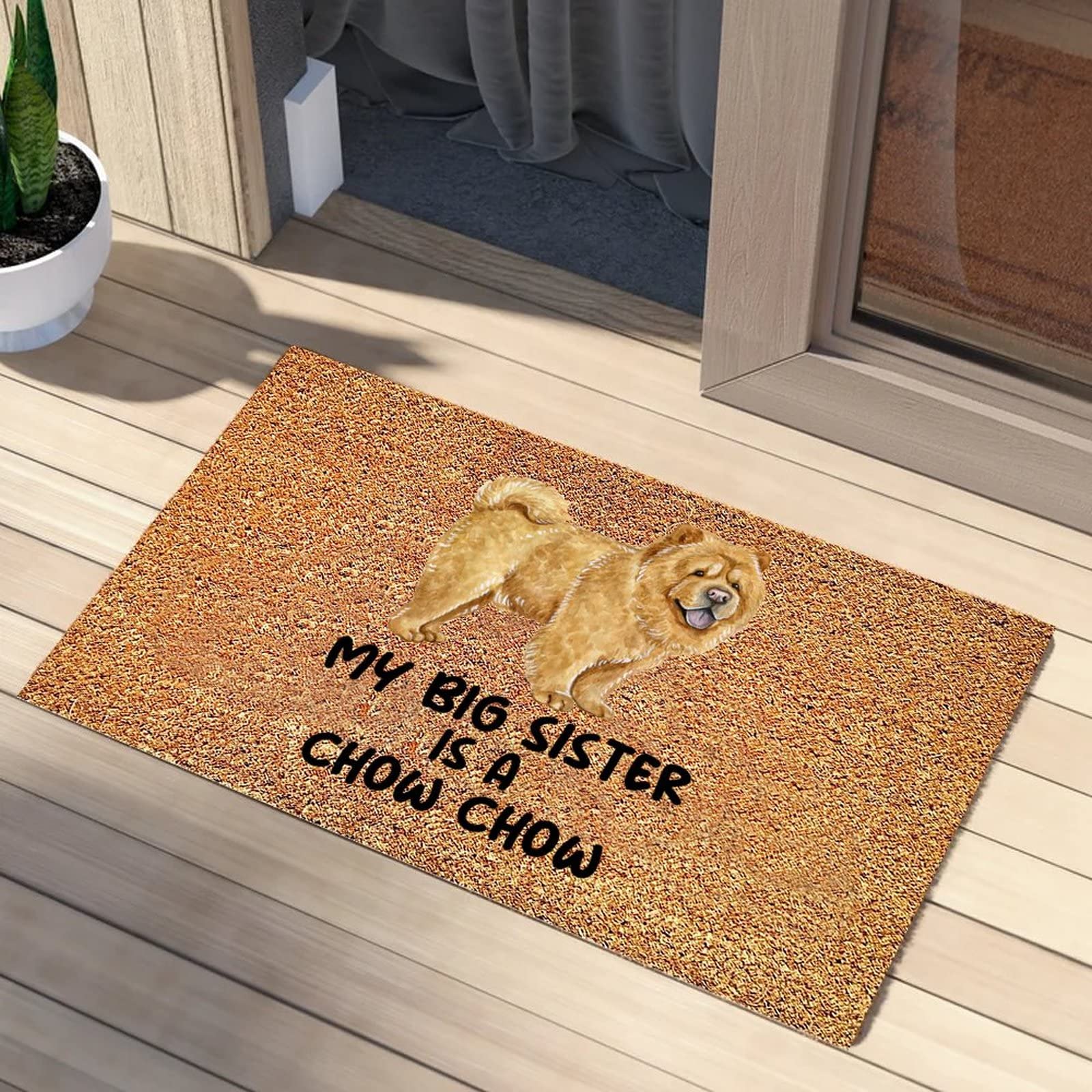 Chihuahua Doormat for Dog Lovers - Non-Slip Coconut Coir Floor Mat with Dog Breed Print, Dirt-Trapping Kitchen Mat, Fade-Resistant & Cursive Backing - Perfect Gift for Women, Dog Moms, Birthday (16x24 Inches) - Ideal for Entryway, Kitchen, or Pet-Friendly Home Decor