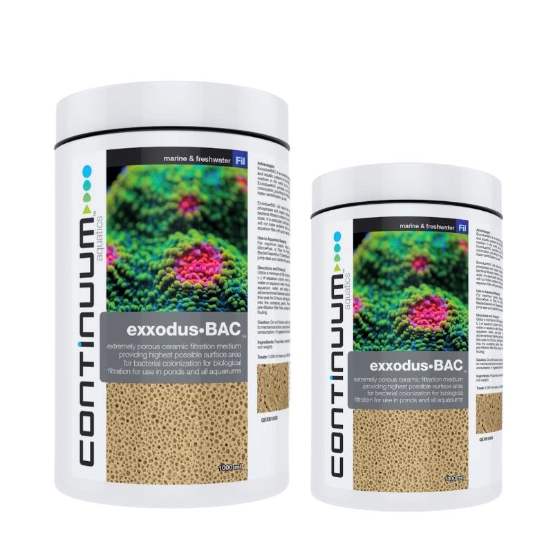 CONTINUUM EXXODUS BAC CUBES - Premium Probiotic Supplement for Gut Health & Digestion - Supports Immune System - Perfect for Travel, Work & Daily Wellness Routine