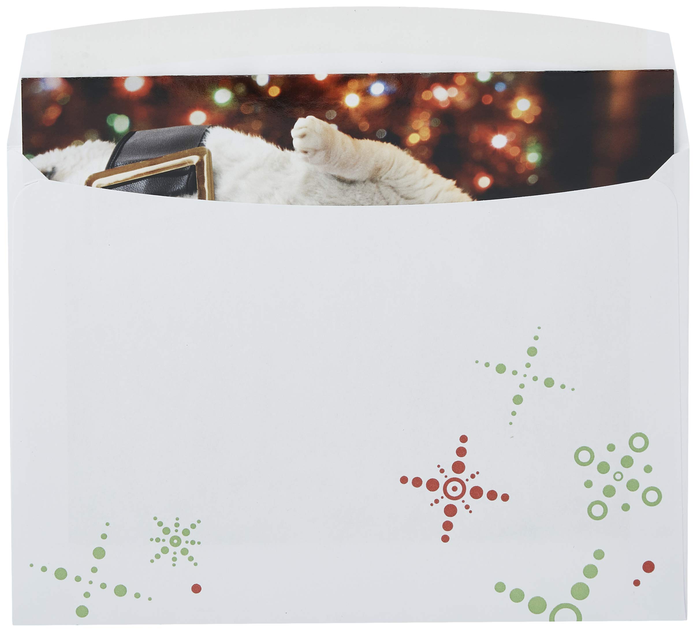 Avanti Press Christmas Cards - Santa Cat with Cookies (Set of 10) | 703952 | Holiday Greeting Cards for Family, Friends & Coworkers