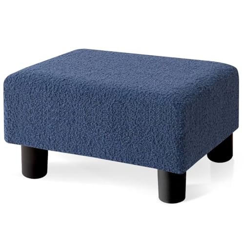 Blue,teddy Velvet