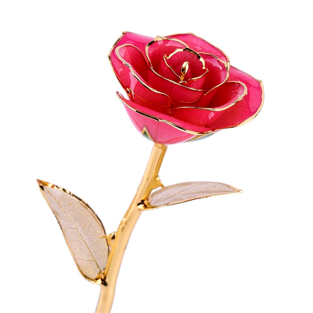 24K Gold Dipped Rose in Luxury Gift Box - Real Long Stem Eternal Rose for Anniversary, Valentine's Day, Wedding Gift (Pink) | Romantic Presents for Her, Birthday Surprise, Home Decor & Special Occasions