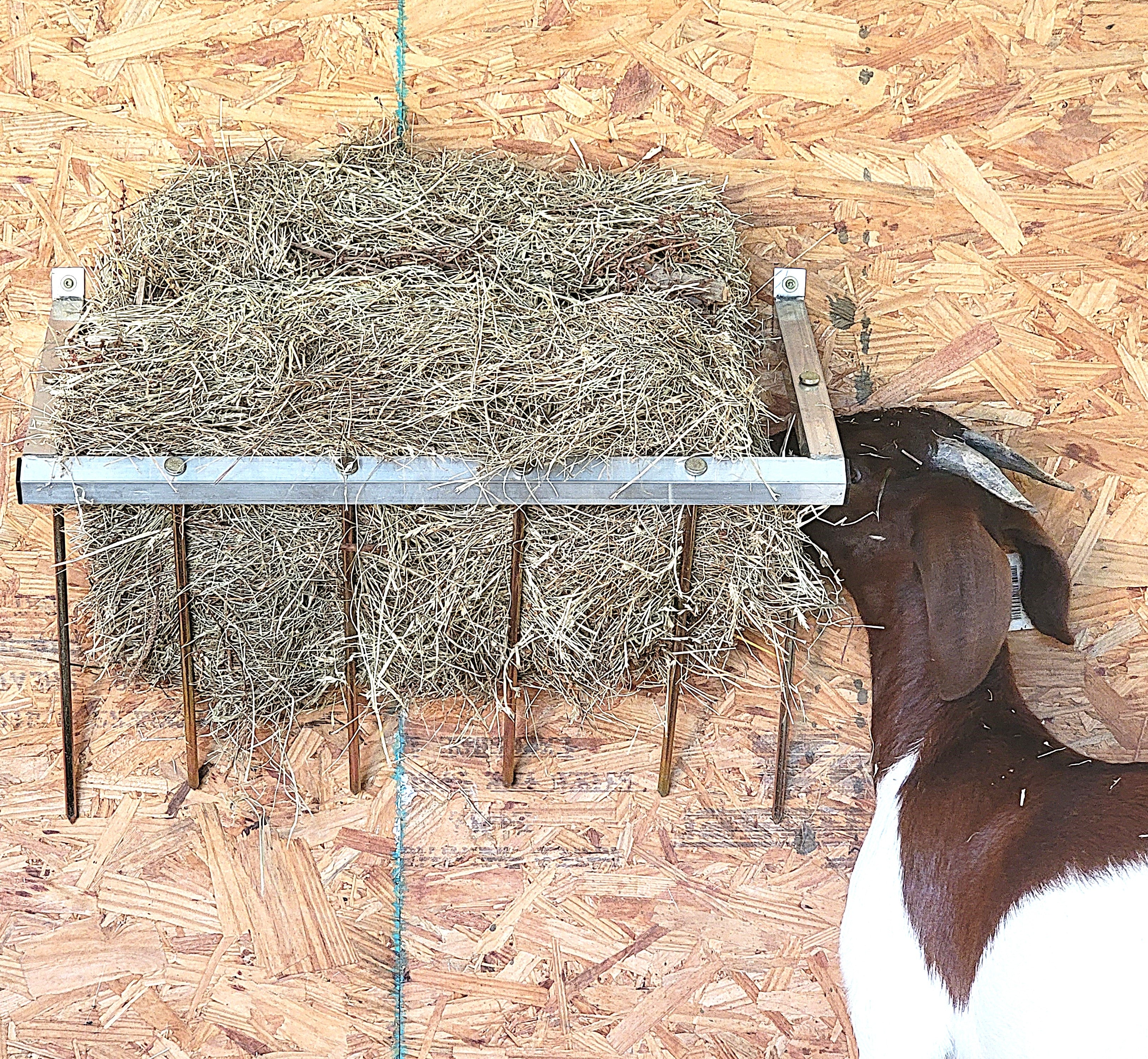 24 Inch Wall Mounted Sheep & Goat Two Flake Hay Feeder - Durable Aluminum Alloy - USA Made - Perfect for Barns, Stables & Pastures