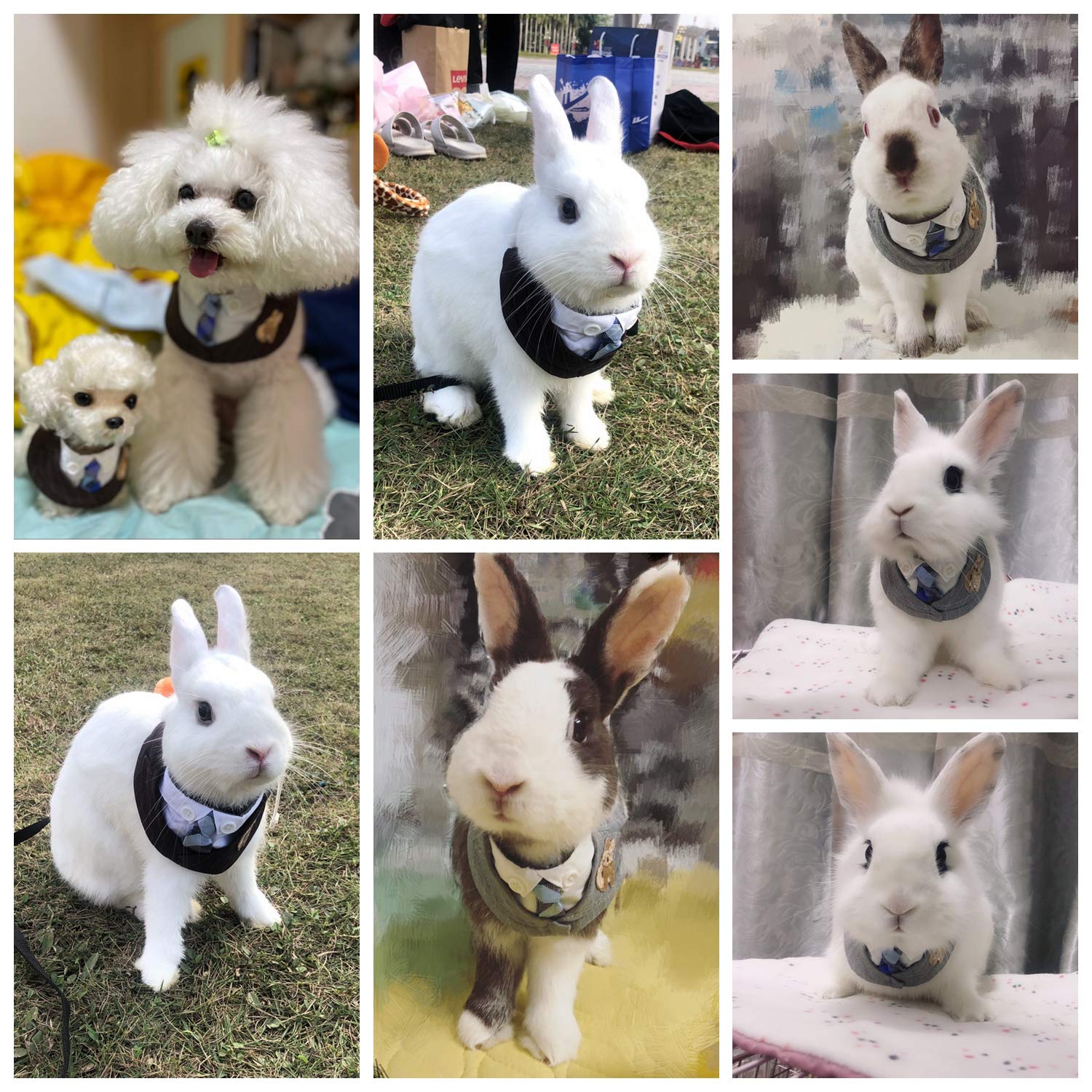 Stylish Adjustable Bunny Rabbit Clothes Collar - Striped Bandana Tie with Safety Buckle & Button Decor for Formal Pet Suits | Perfect for Bunny, Kitten, Cat, Puppy & Small Animals | Ideal for Pet Walking, Parties & Photo Shoots