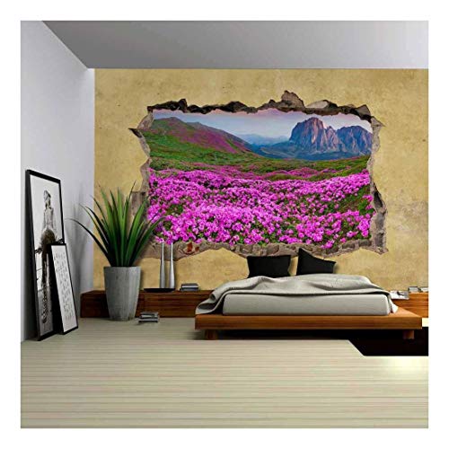 Mountain in Spring
