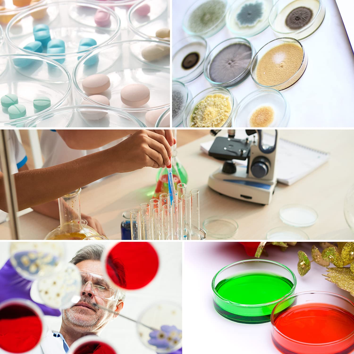 90mm Glass Petri Dishes with Lids - 10 Pcs Autoclavable Lab Petri Plates with Inoculation Loop - Reusable Glass Culture Dishes for Agar Plates, Mushroom Cultivation, Science Projects & Microbiology Experiments - Perfect for Labs, Classrooms & Home Science Kits