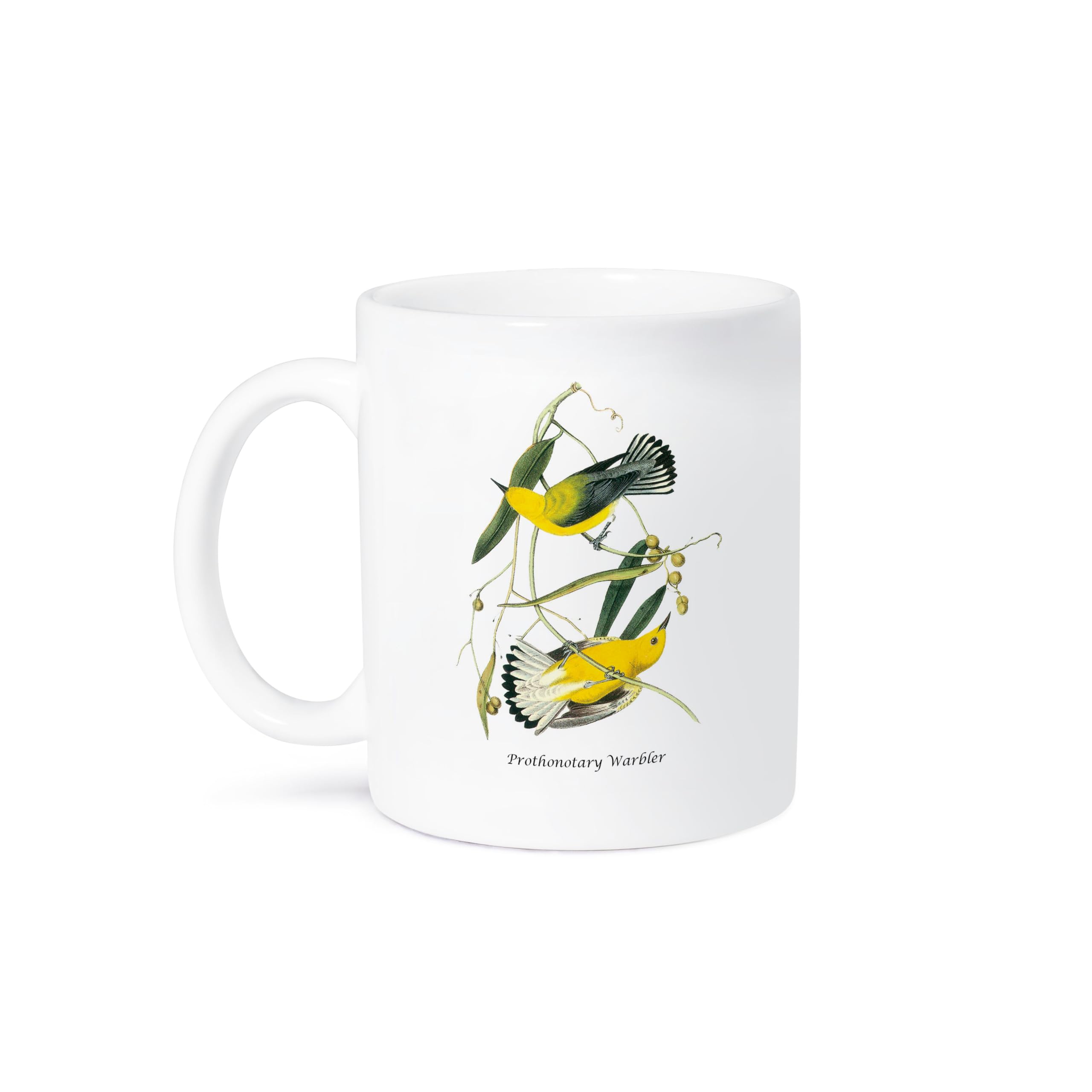 11oz Funny Prothonotary Warbler Coffee Mug by John James Audubon - Bird Lover's Gift, Unique Ceramic Cup for Home, Office & Gifts - BLN John James Audubon Collection