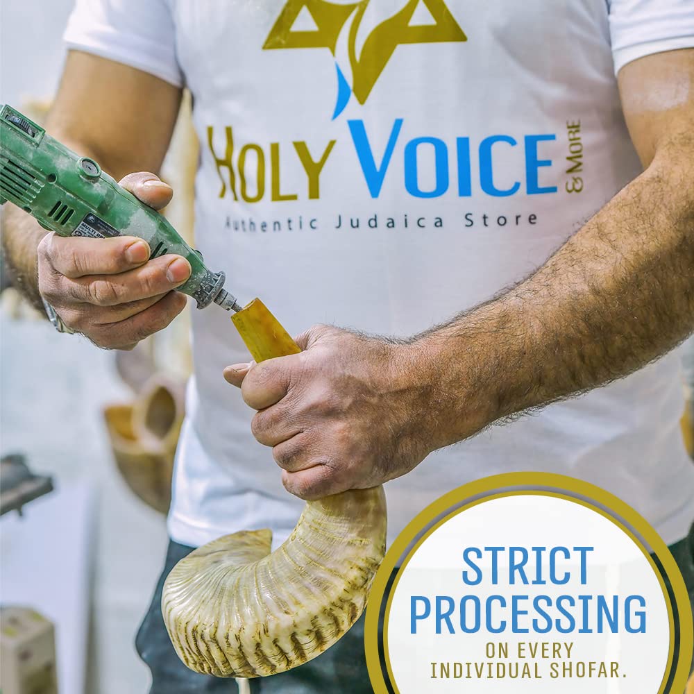 Holy Voice Handcrafted Kosher Ram Shofar from Israel 18