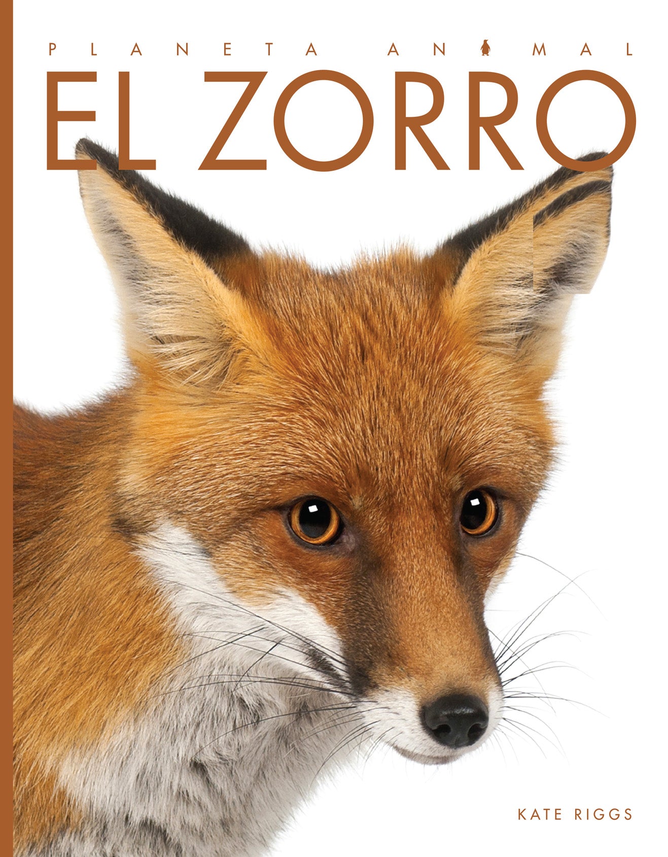 El Zorro by Johnston McCulley - 9781608189342 | Classic Adventure Novel for Book Lovers & Literature Enthusiasts - Perfect for Reading, Gifts & Collecting