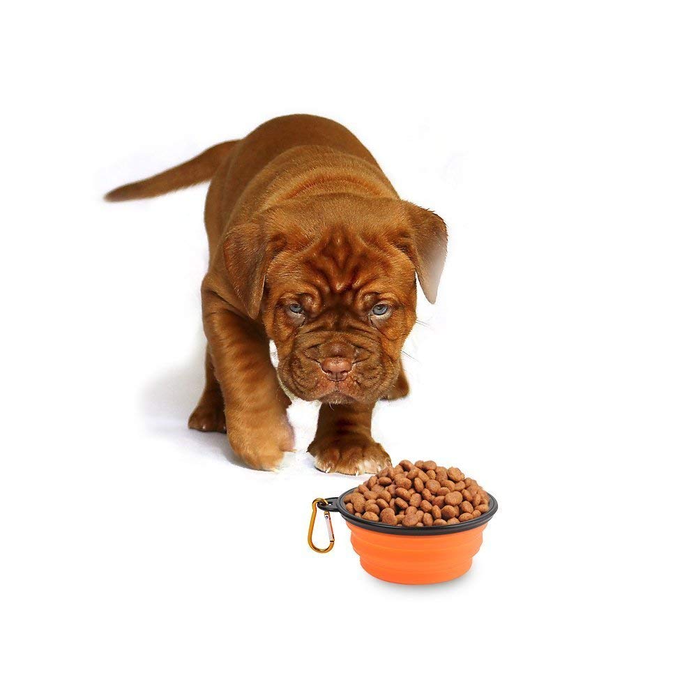 Collapsible Silicone Pet Bowl Set for Dogs & Cats - 2 Pack Travel Pop-Up Bowls with Carabiner (Orange & Blue) - Perfect for Hiking, Camping & Outdoor Adventures