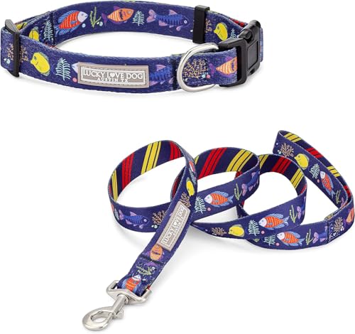 Mackey Collar/Leash Combo