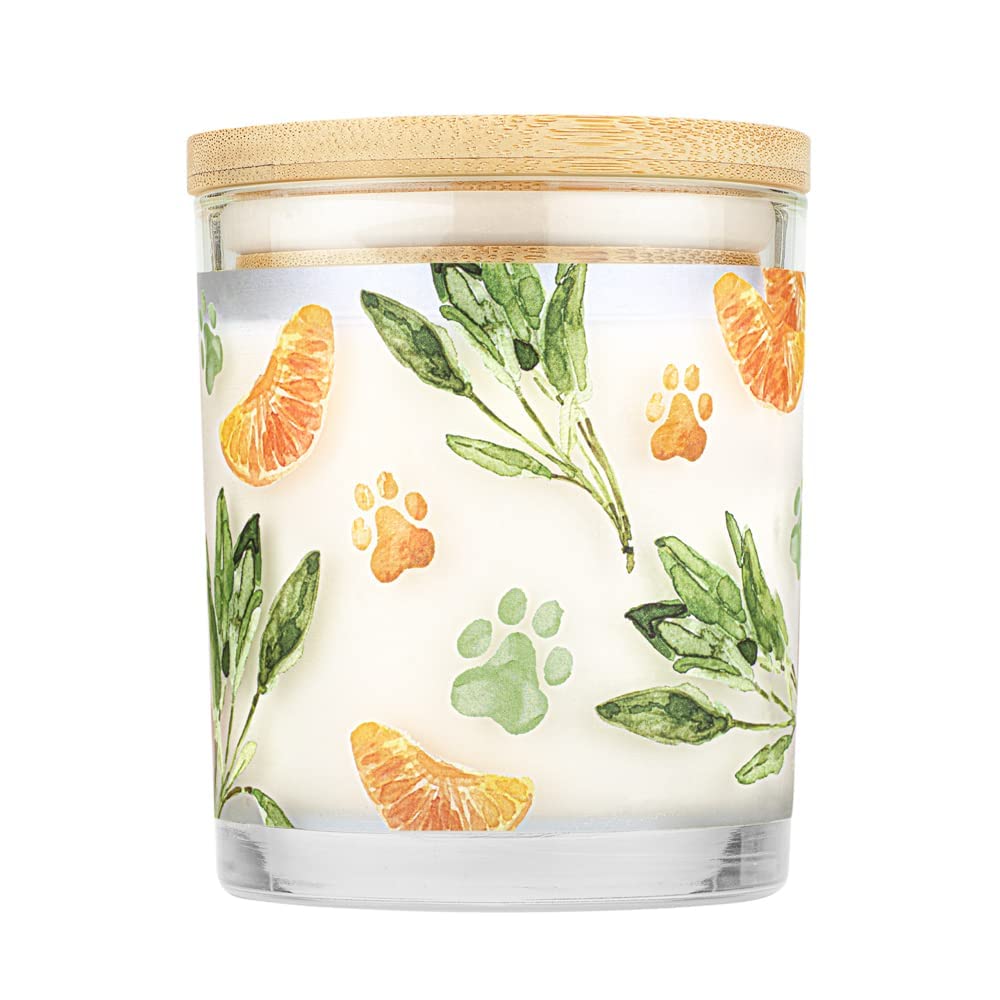 One Fur All Pet House Candle 2 Pack - Natural Soy Wax Candles for Pet Odor Elimination | Mandarin Sage Scented, Clean Burning, Long Lasting Home Fragrance | Perfect for Living Rooms, Bedrooms & Pet-Friendly Spaces