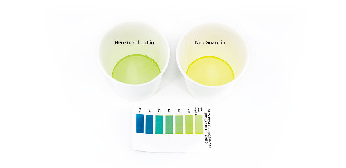 Aquatic Plant Fertilizer & Conditioner Set for Freshwater Aquariums - Promotes Healthy Plant Growth, Algae Control - Ideal for Fish Tanks, Aquatic Gardens & Planted Aquariums
