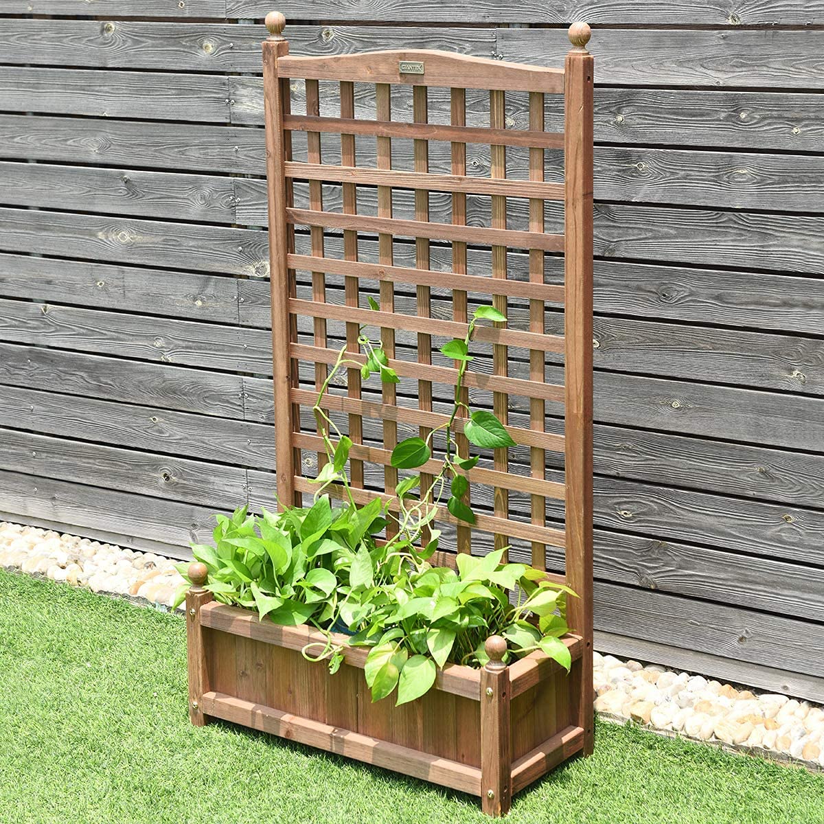 GRAFFY Wooden Raised Garden Bed with Trellis - Outdoor Planter Box for Climbing Plants, Vegetables & Flowers - Free Standing Elevated Planter with Drainage Holes - Perfect for Patio, Backyard & Small Space Gardening