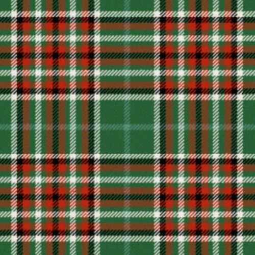 Gayre Bodyguard Ancient Tartan Kilt - Premium Scottish Tartan Skirt for Men & Women | Perfect for Highland Games, Weddings & Cosplay